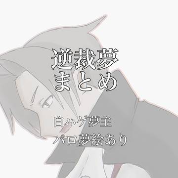 逆裁夢まとめ