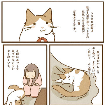 我が家の猫絵日記