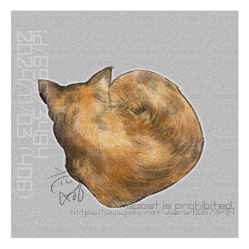 いえのゆかとかにおちてるねこ