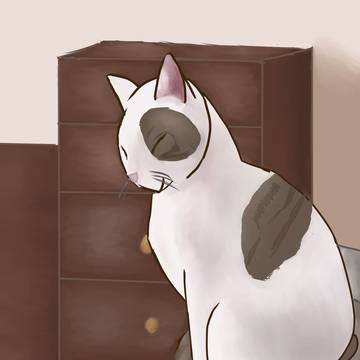 夕日の猫
