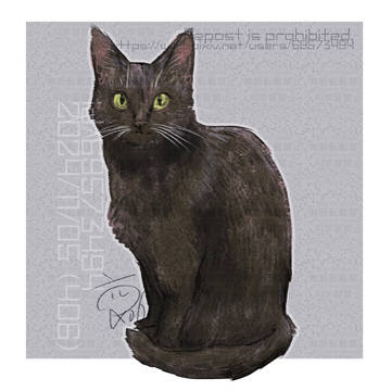 いえのゆかとかにおちてるねこ