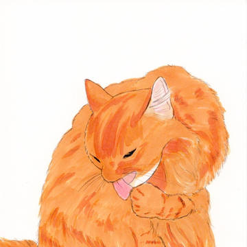 猫スケッチ20（おててペロペロ）