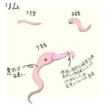 リムの設定とイーリへそチェック