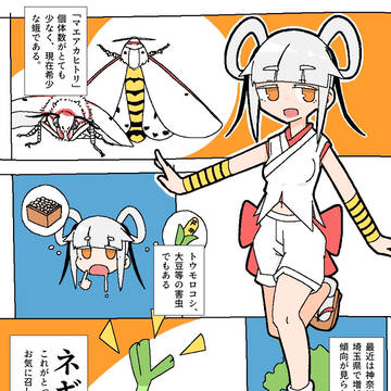 マエアカヒトリ