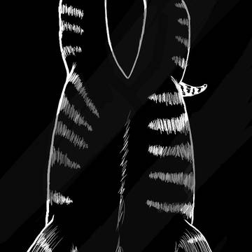 A cat :)