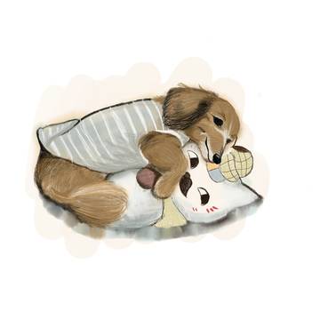 ニャンコ先生は抱き枕