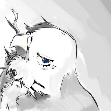 鳥さん