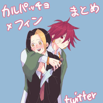 パチョフィンまとめ