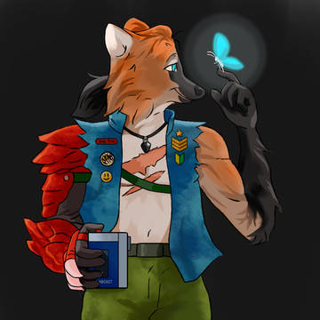 A Time Traveller