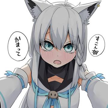 フブちゃんはかまってほしい