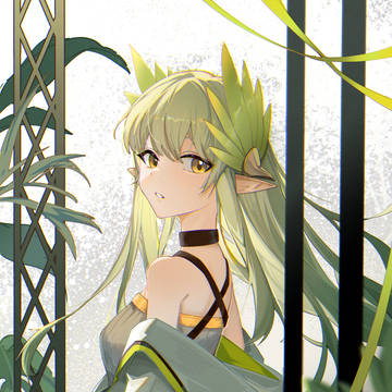 ミュルジス