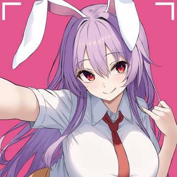 うどんげ 🐰📹
