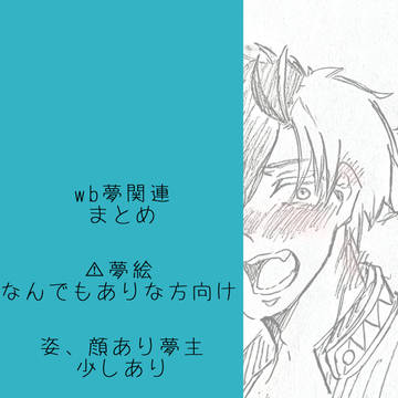 WB夢まとめ