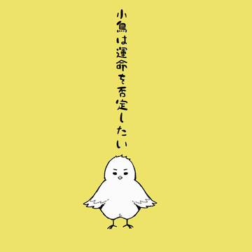 小鳥は運命を否定したい