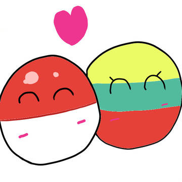 ポーランド❤️リトアニア