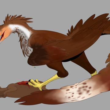 bird dragon
