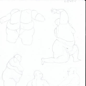 Fat & Skin Fold Study
