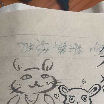 笨猫兔子wwwww