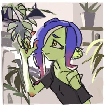 ミズタ