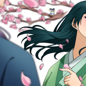 mao mao jinshi cherry blossom