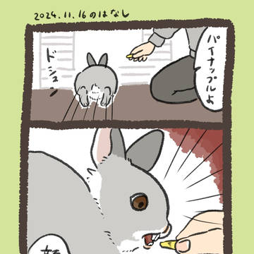 【実録】顔 rabbit…他