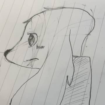 ペコ(横顔)