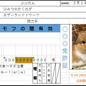 ちゃとら様へ ウサギの免許証っぽいもの