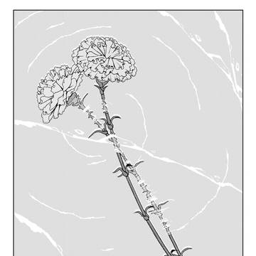 Page 14 thumbnail