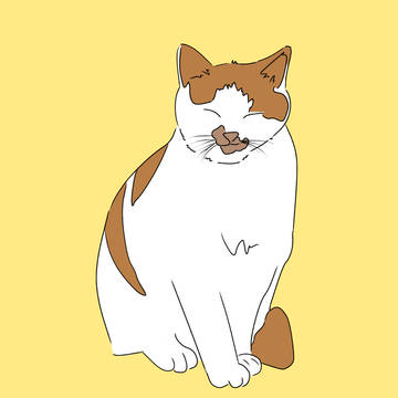 猫