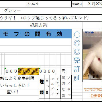 Ma-co 白うさぎのカムイ🐇様へ カムイ君の免許証っぽいもの