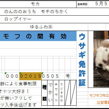 ⭐︎のんの⭐︎様へ ウサギのモカちゃんの免許証っぽいもの