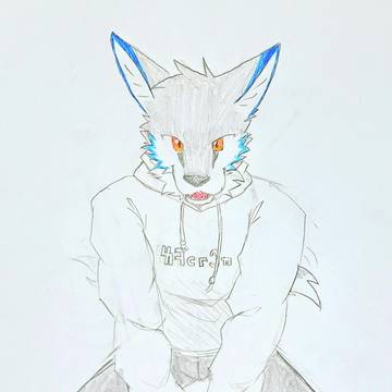 かわいい愚かなコヨーテ