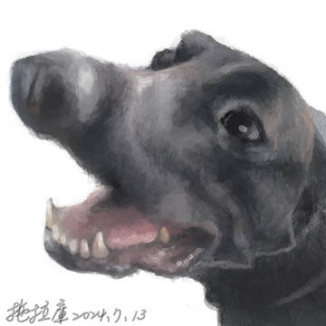 噗幣轉蛋
