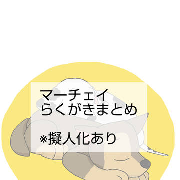 マーチェイまとめ