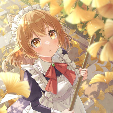 イチョウ🍂
