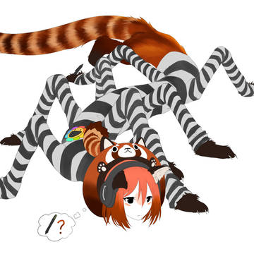 Red Centipanda