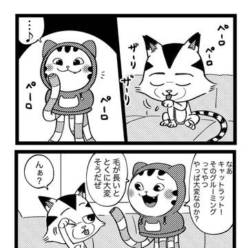 グルーミング