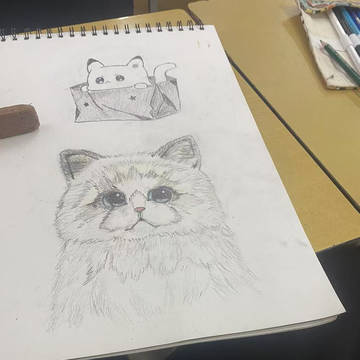 随笔