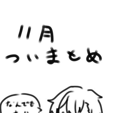 11月ついまとめ(アナログ多)