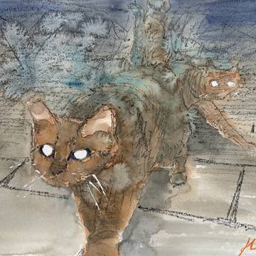月明かりの猫