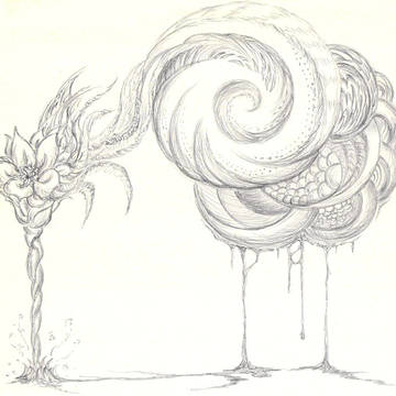 無限花