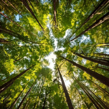 AIで生成した風景