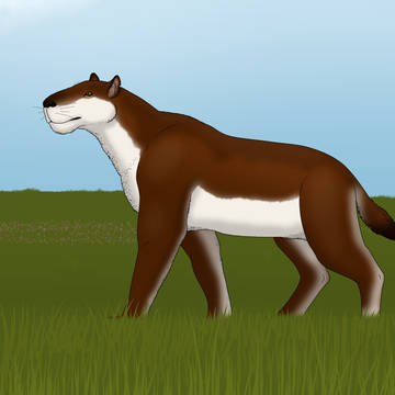 Homotherium latidens