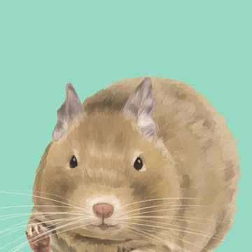 デグー サンド