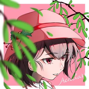 帽的四季