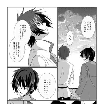 シンとキラがカガリ（不在）について喋る話
