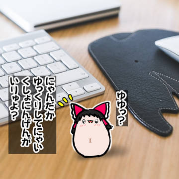 どうしますか?