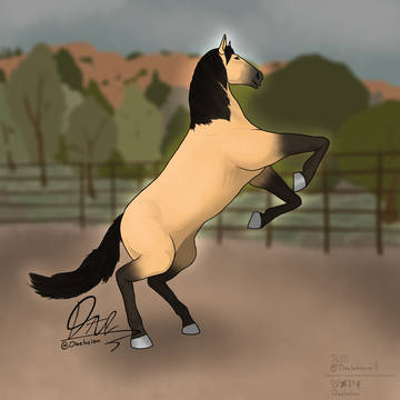 Buckskin Horse