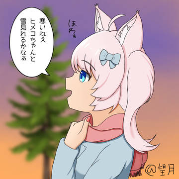 冬ほわんちゃん