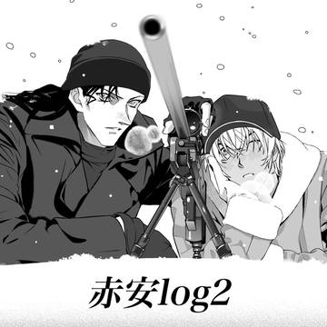 赤安log2